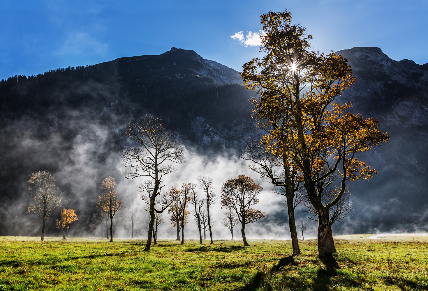 herbstwald