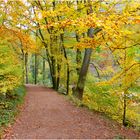 Herbstwald