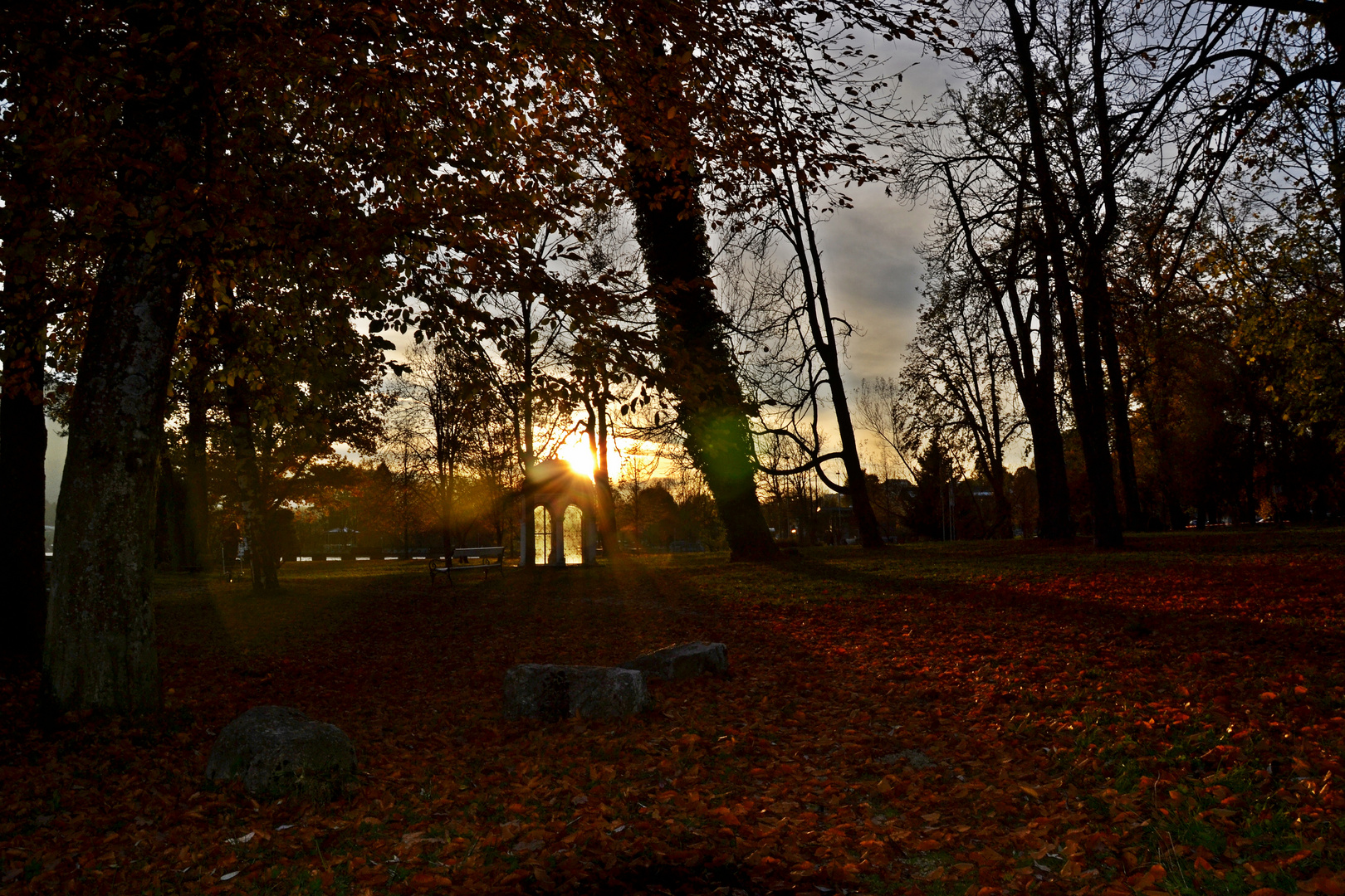 Herbstwald