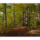 herbstwald