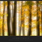 Herbstwald