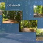 Herbstwald-1