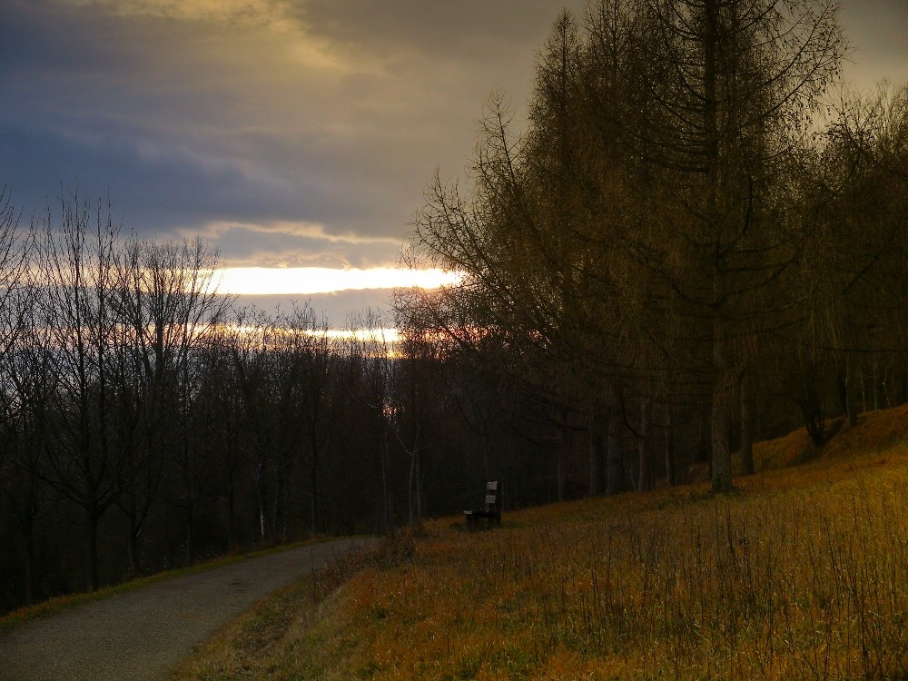 Herbstwald