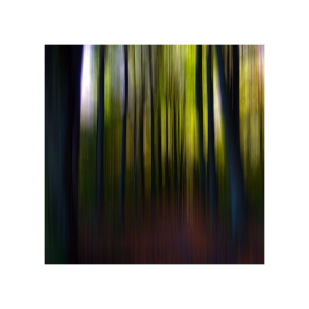 *Herbstwald* (2)