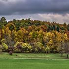 Herbstwald 2015...