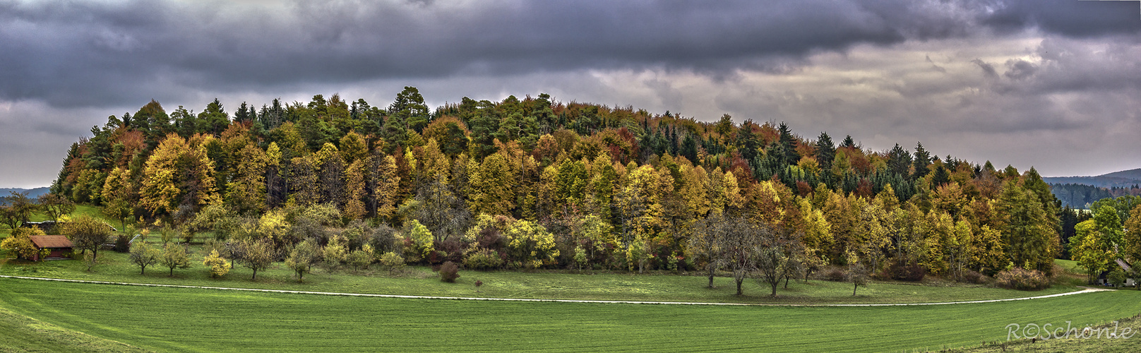 Herbstwald 2015...