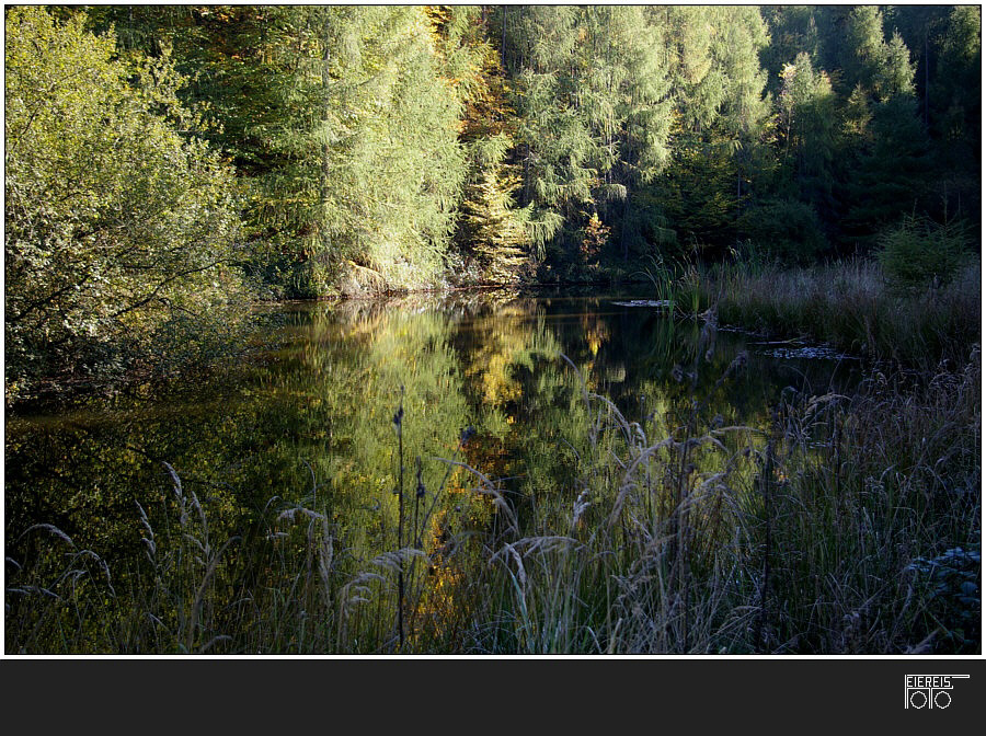 Herbstwald