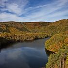 Herbstwald 