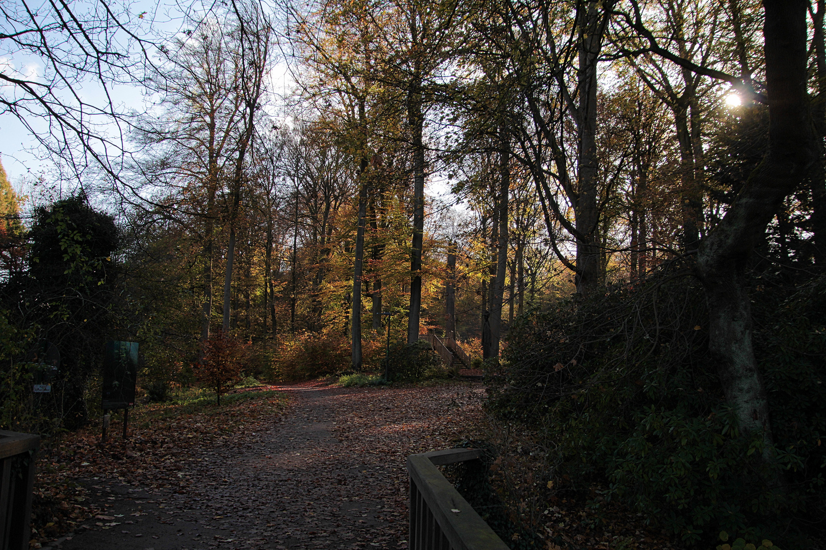 Herbstwald