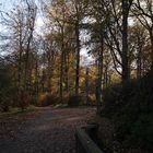 Herbstwald