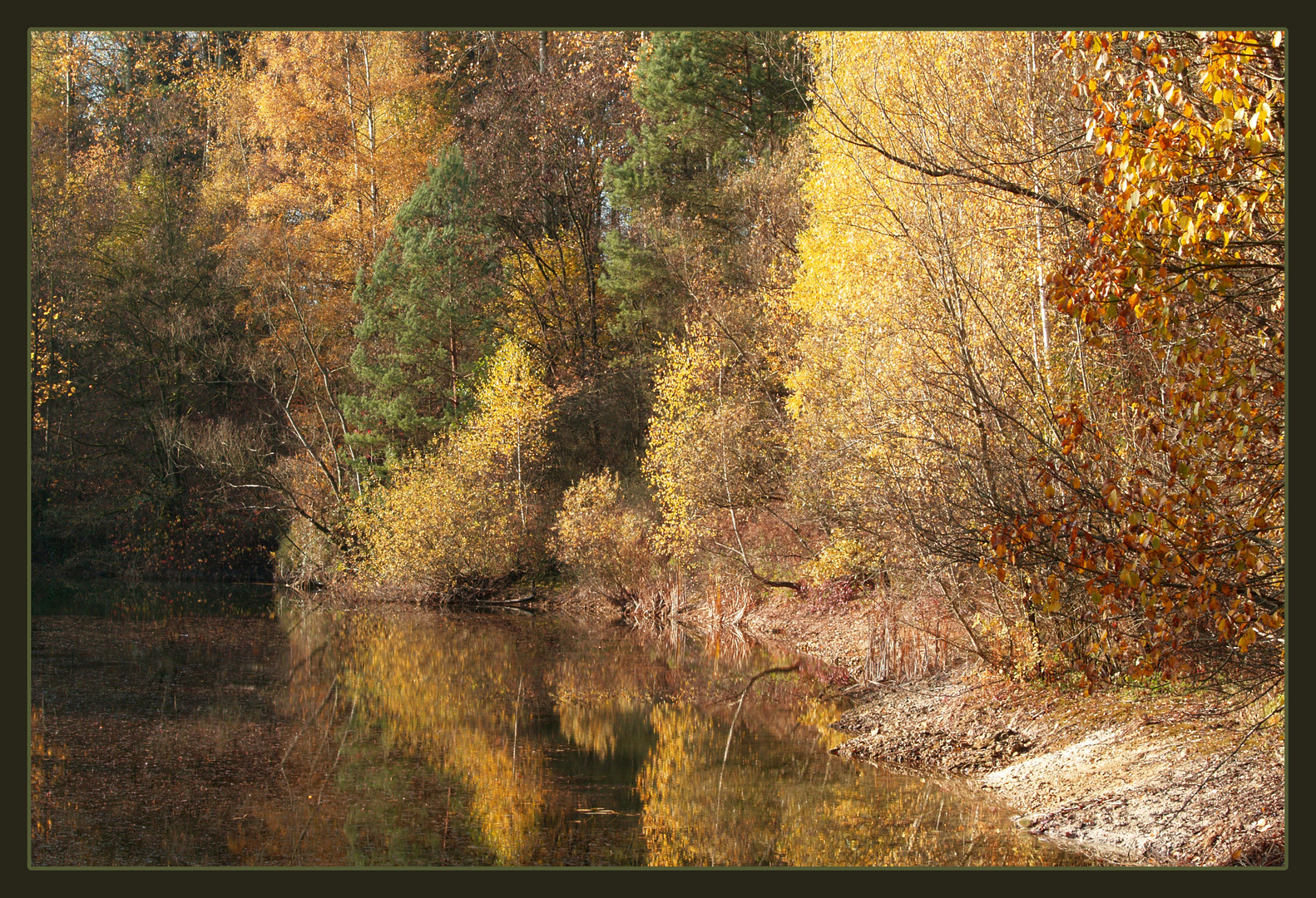 Herbstwald