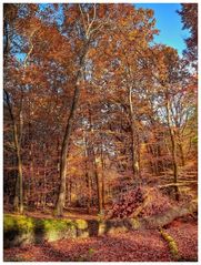 Herbstwald