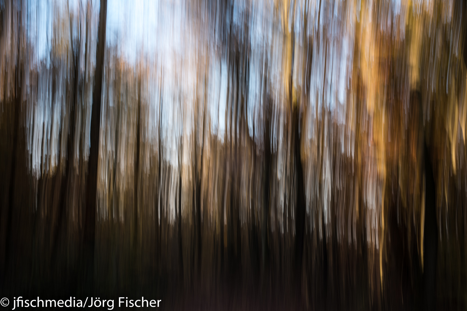 Herbstwald 3