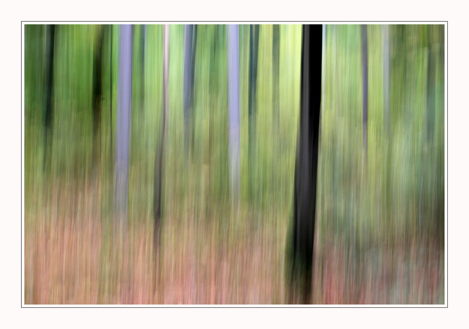 Herbstwald 3