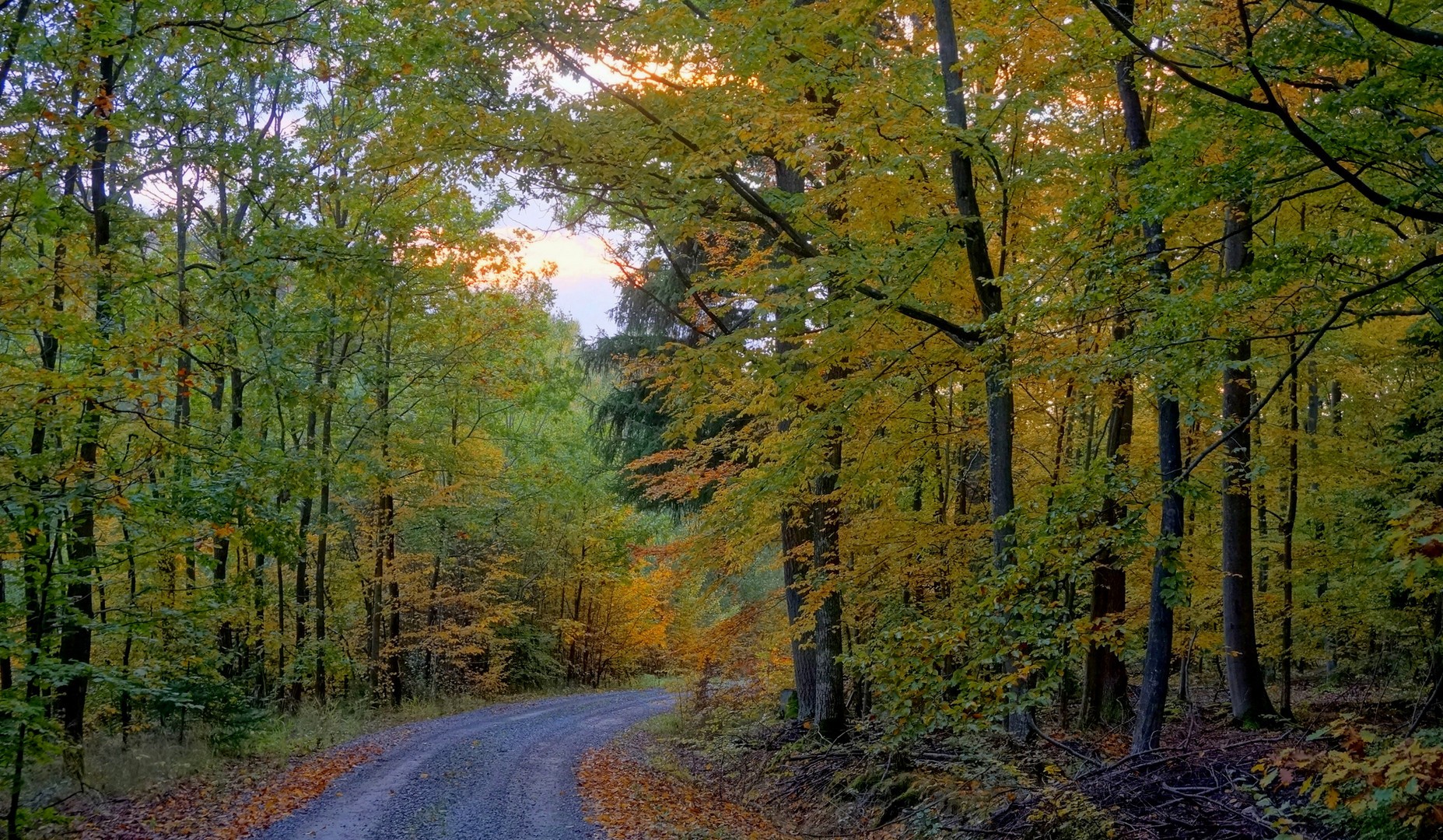 Herbstwald, 3 (bosque otoñal, 3)