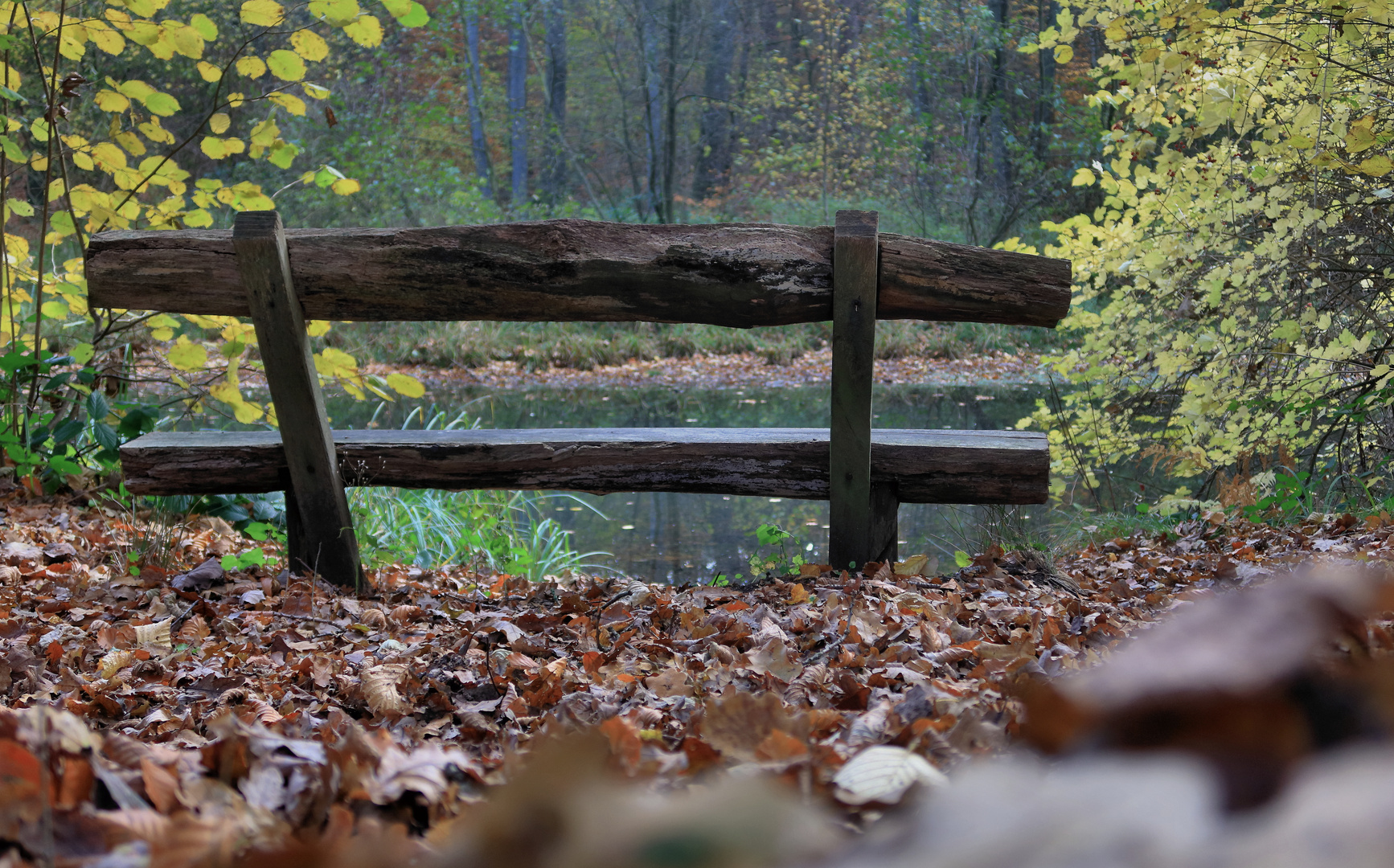 Herbstwald