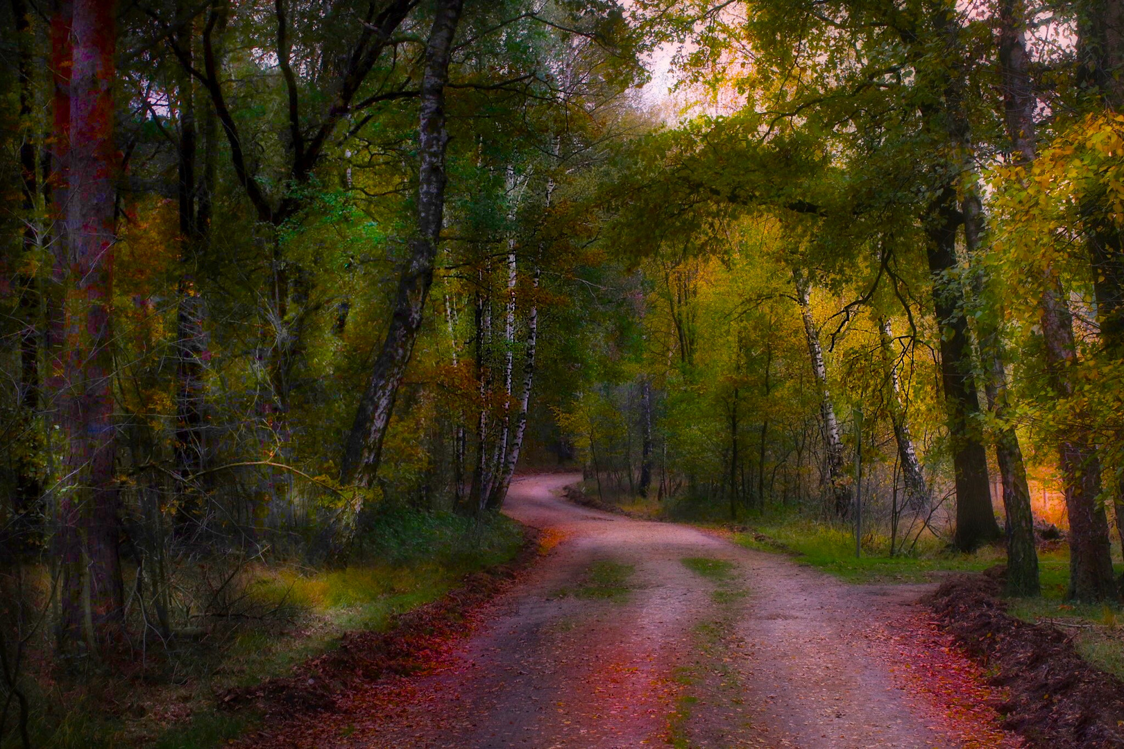 Herbstwald