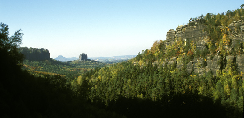 Herbstwald...