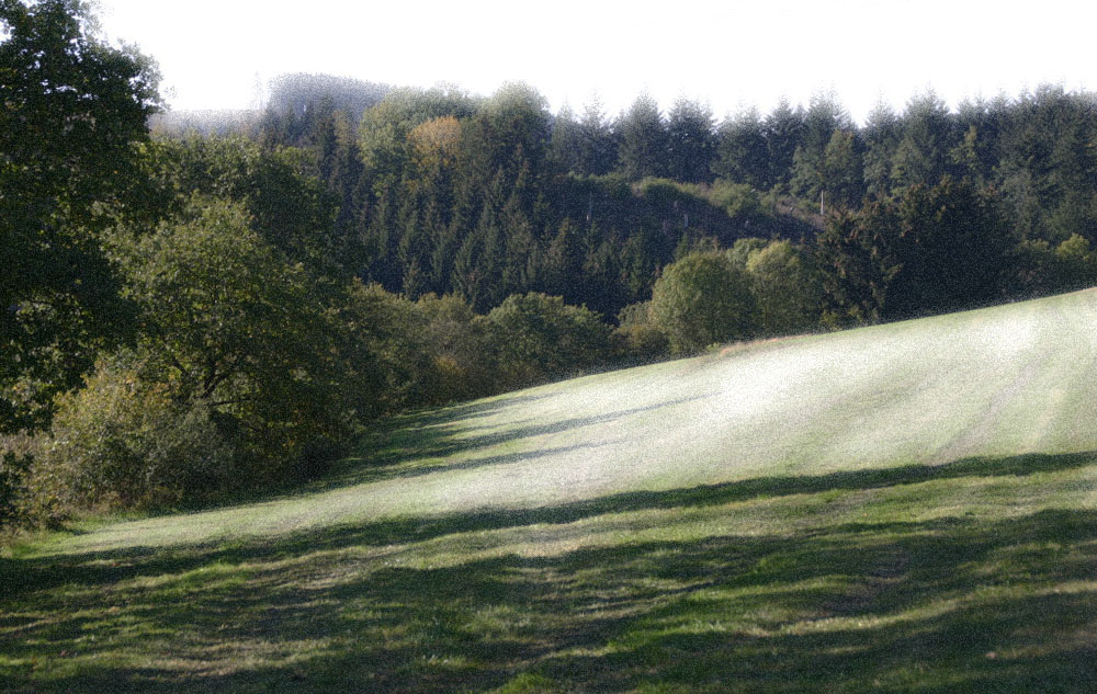 Herbstwald