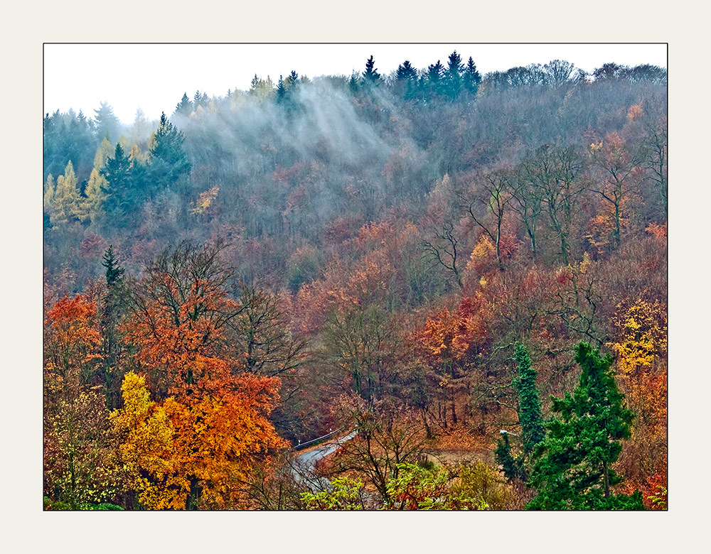 Herbstwald