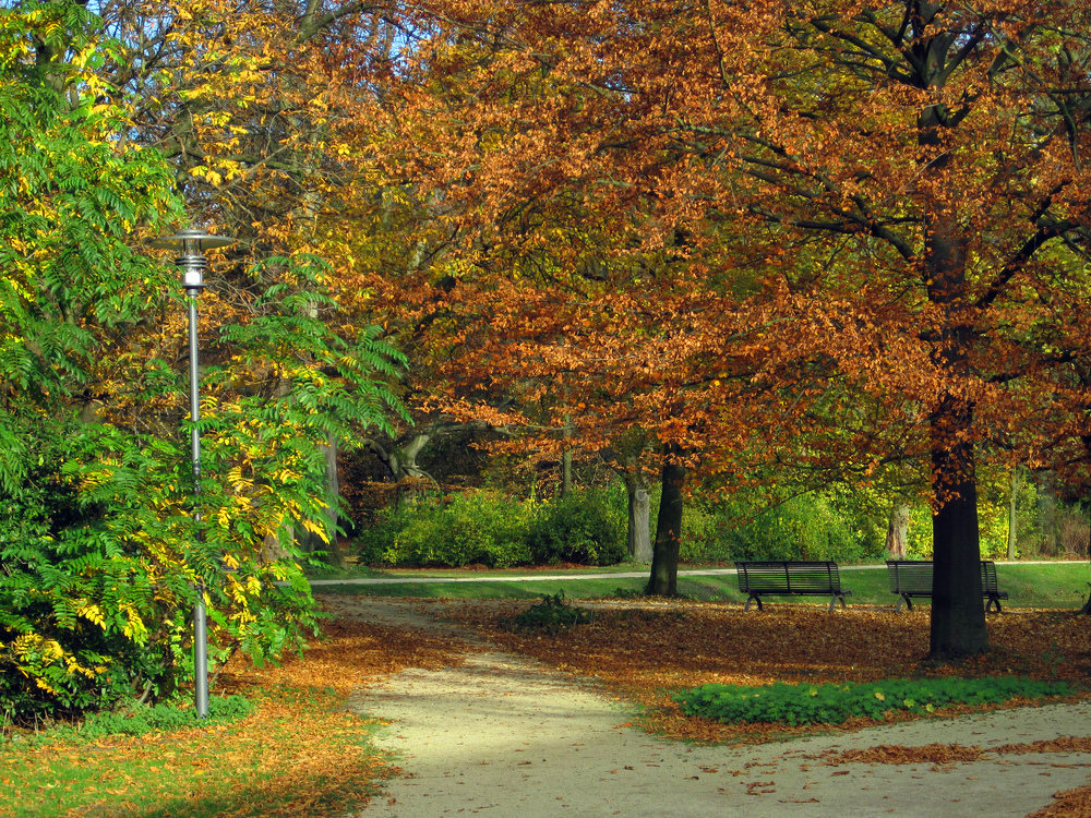 Herbstwald