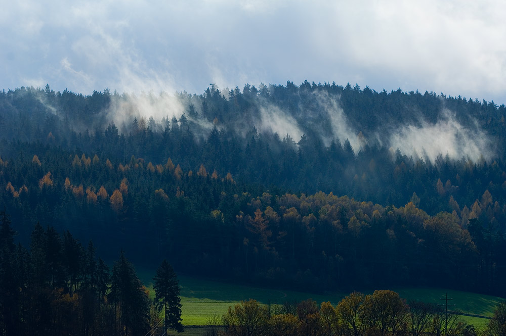 herbstwald