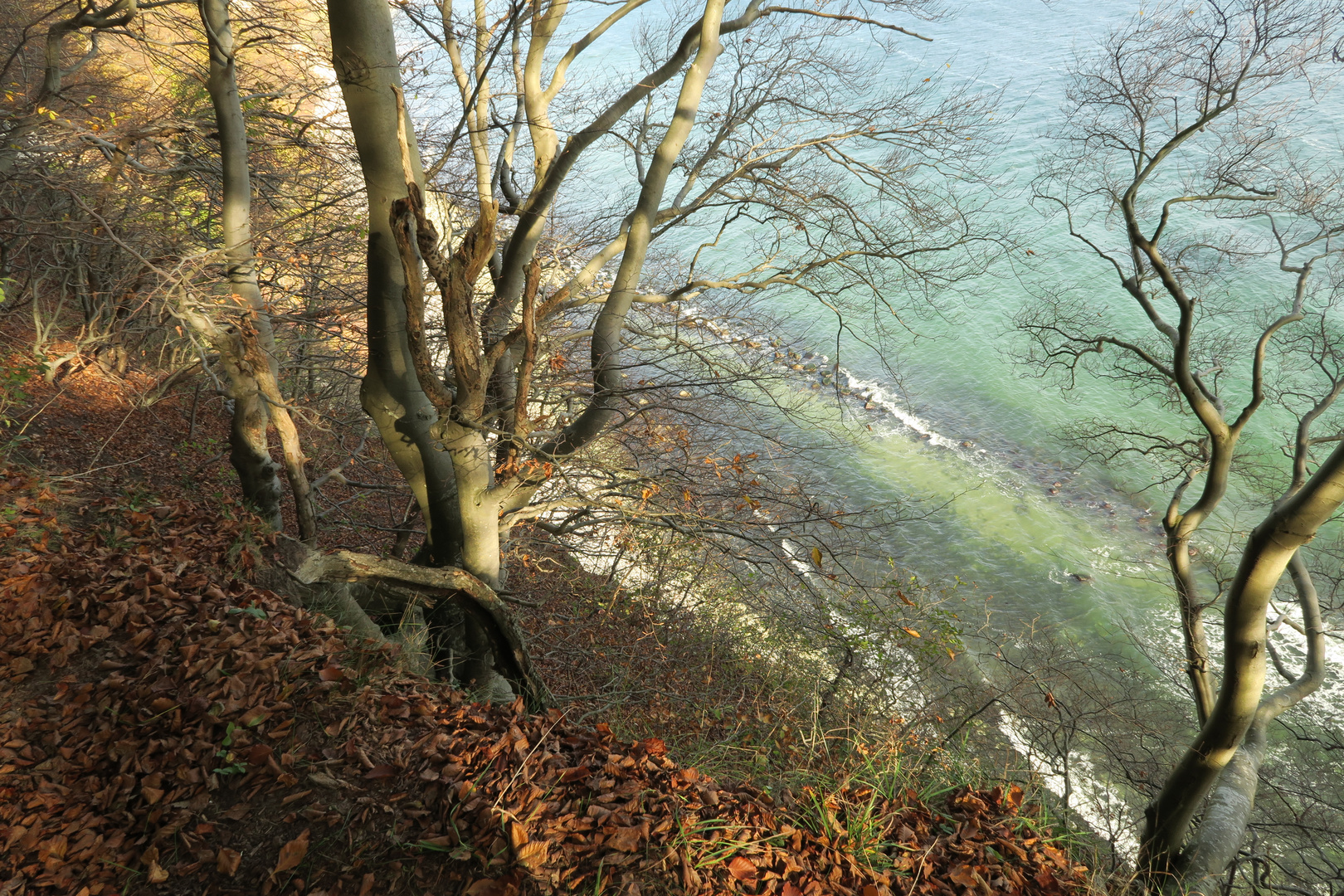 Herbstwald