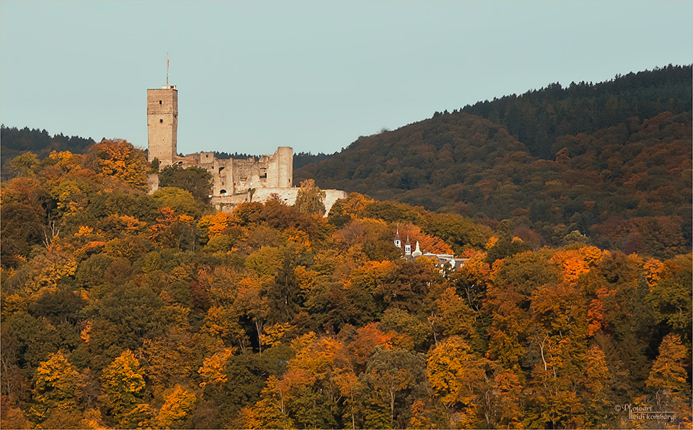 Herbstwald