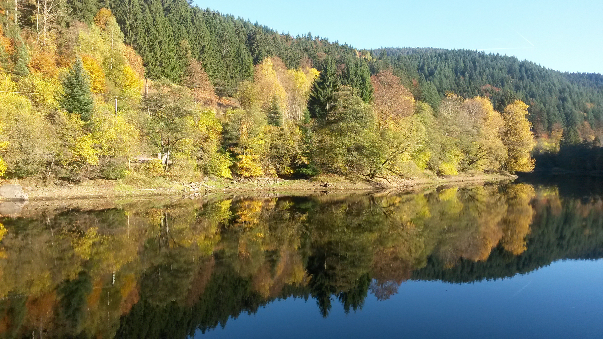 Herbstwald