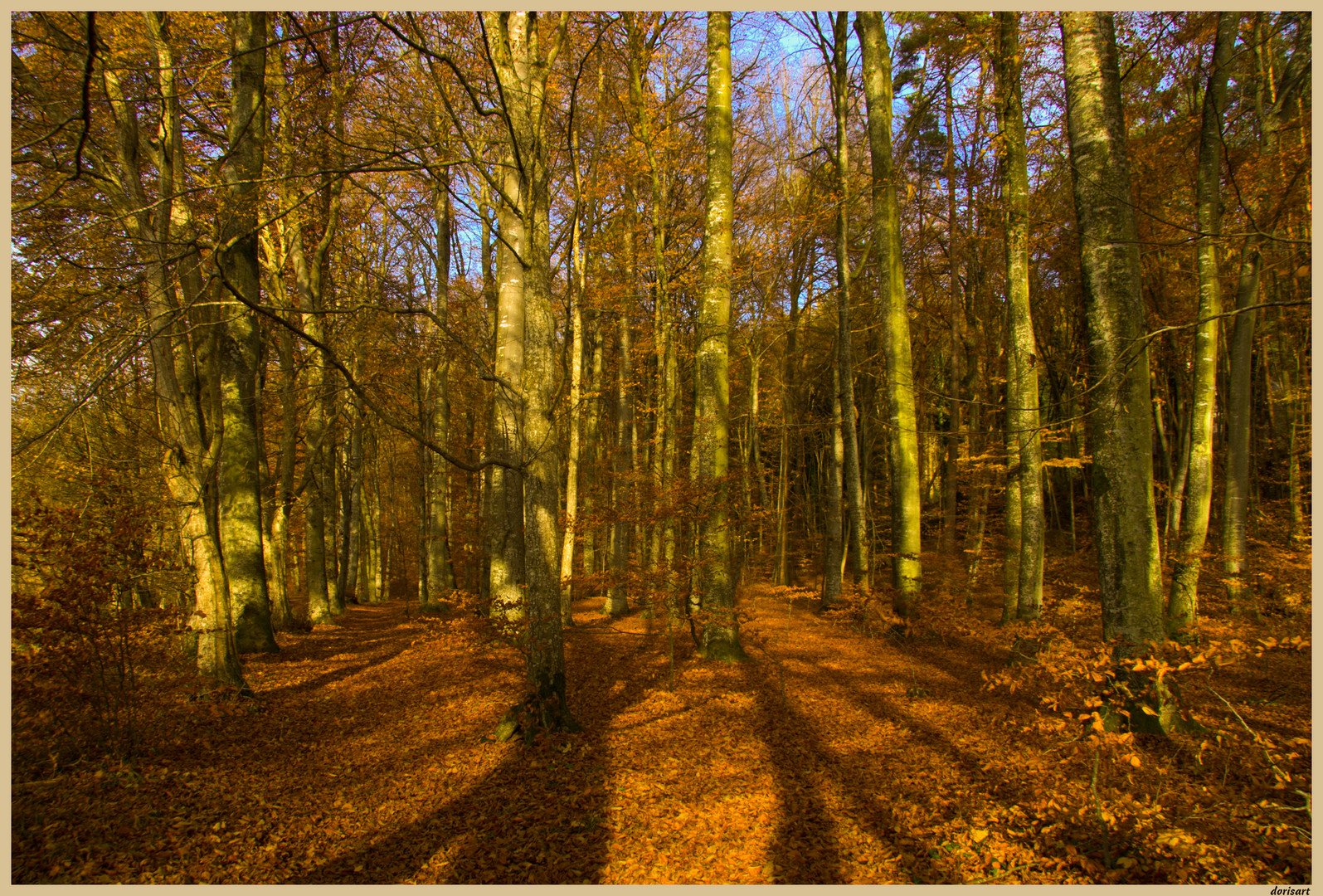 Herbstwald