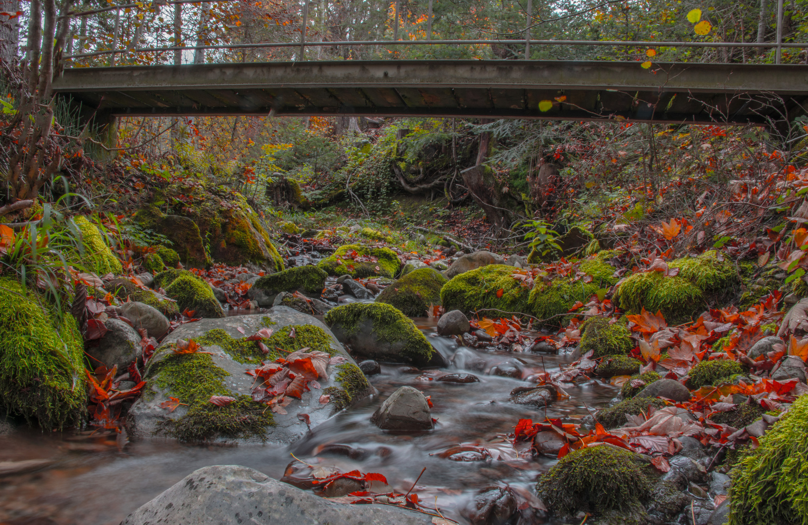 Herbstwald