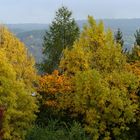 Herbstwald-