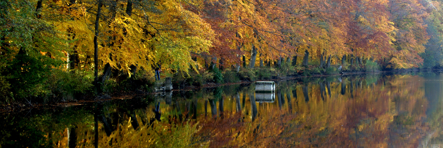 Herbstwald