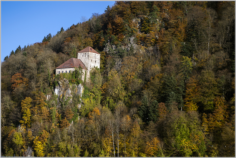 Herbstwald