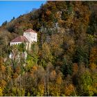 Herbstwald