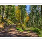 Herbstwald