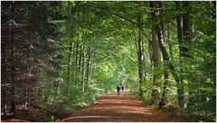 Herbstwald