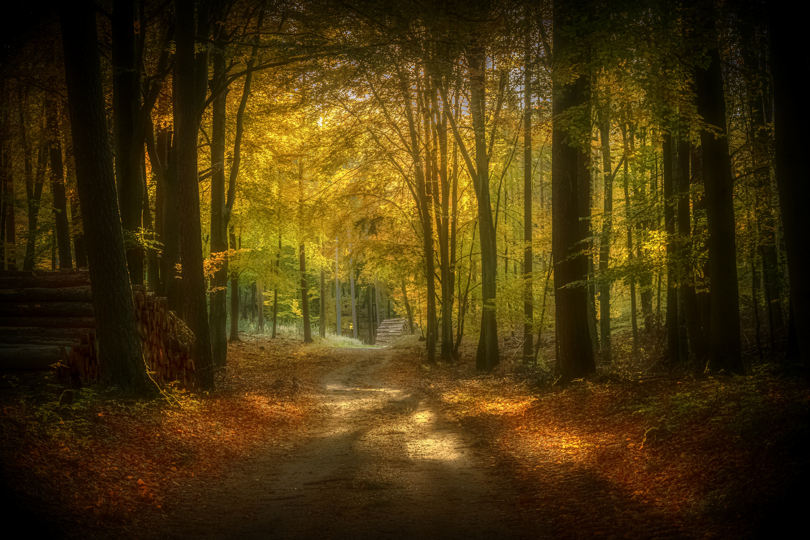 Herbstwald