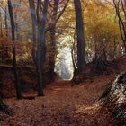 Herbstwald