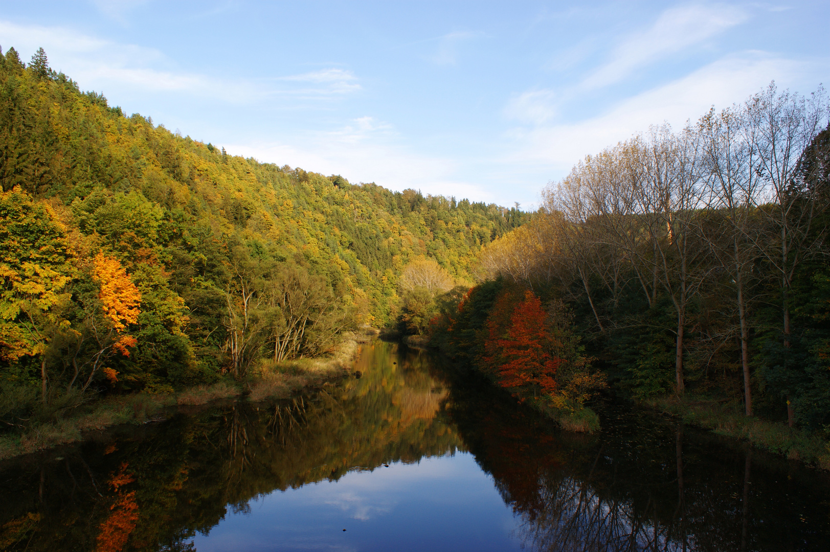 Herbstwald