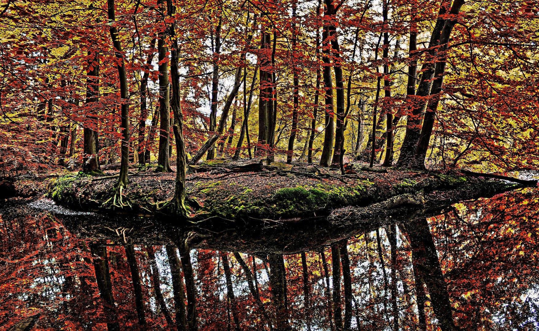 Herbstwald 