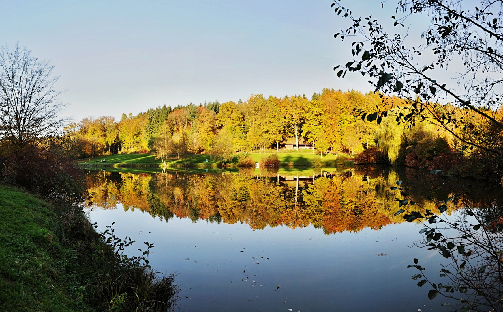 Herbstwald