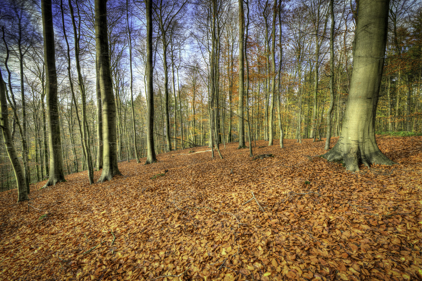 Herbstwald