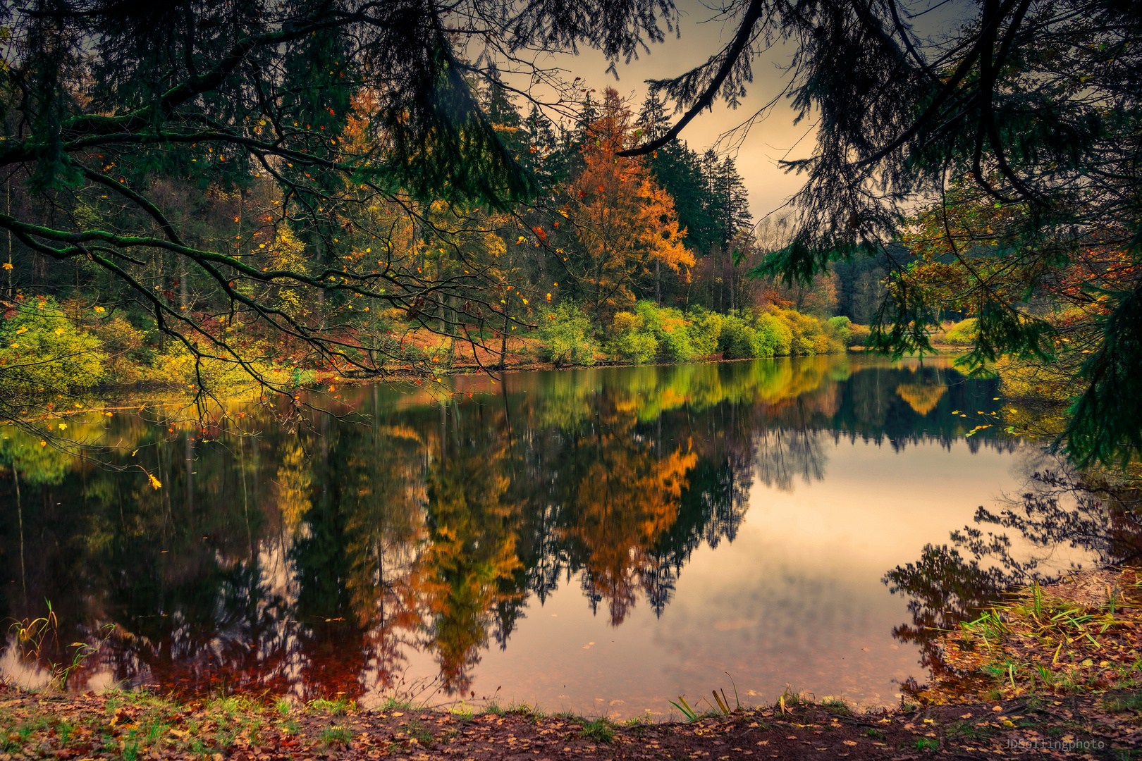 Herbstwald