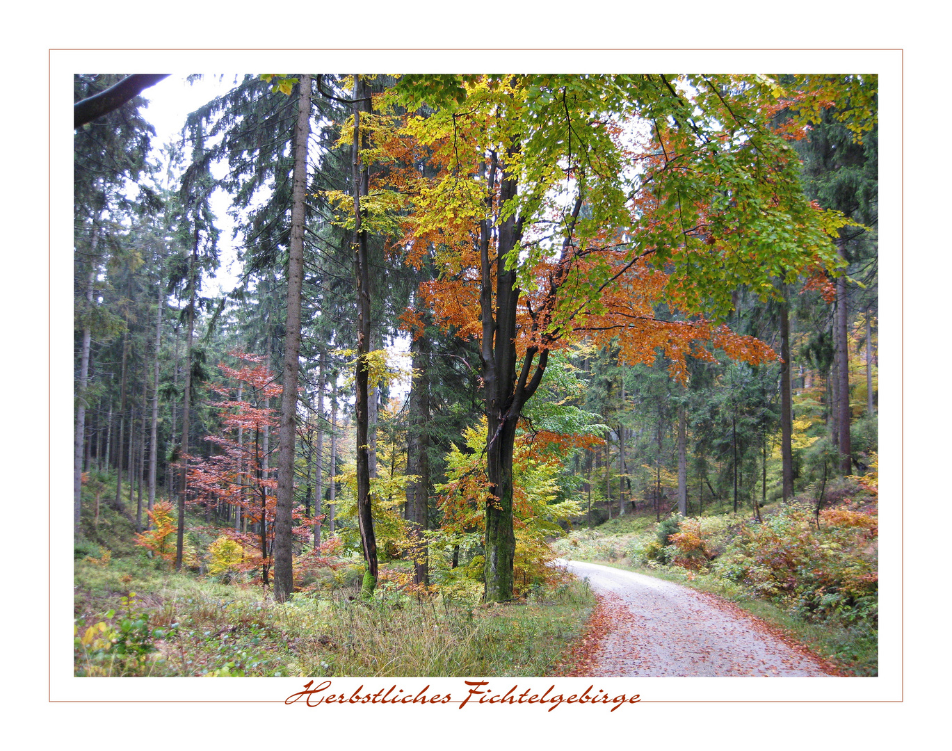 Herbstwald