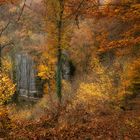 Herbstwald