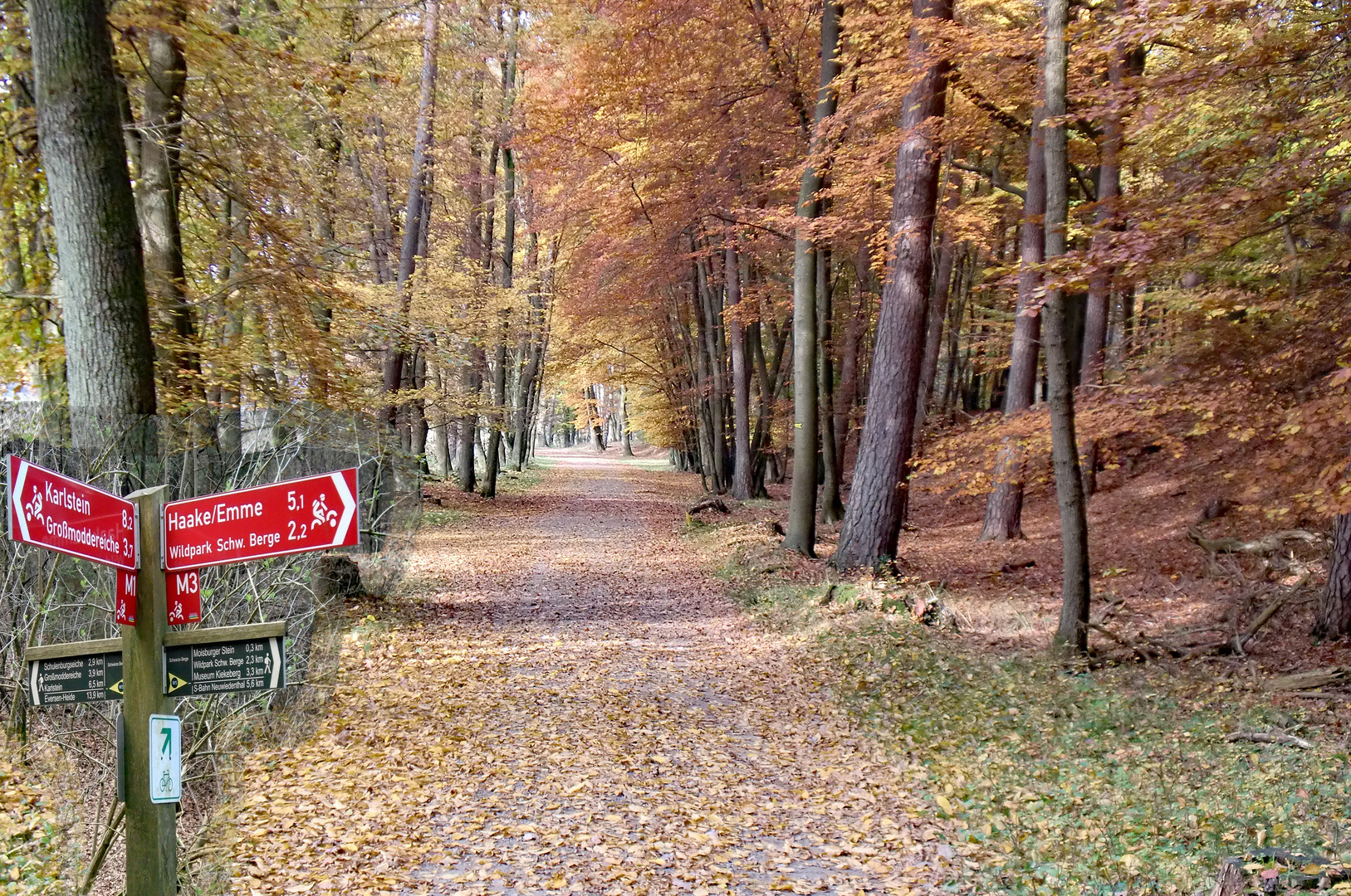 Herbstwald......