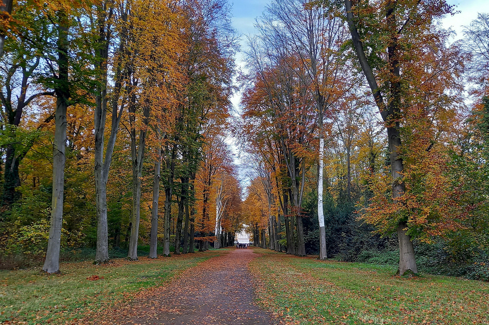 Herbstwald