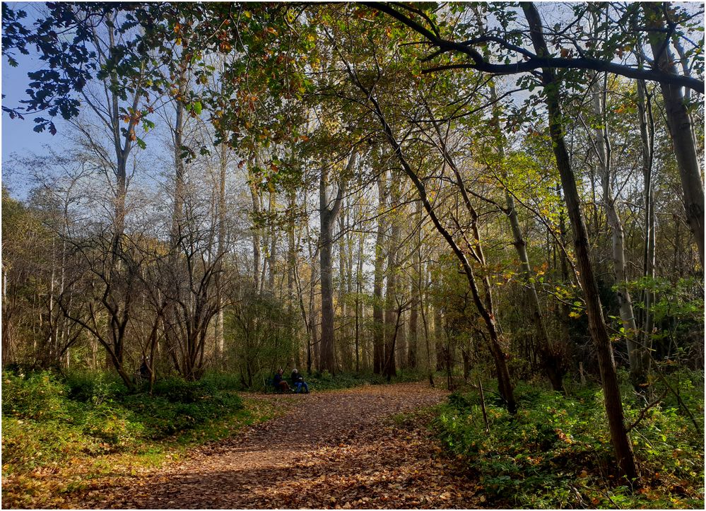 Herbstwald