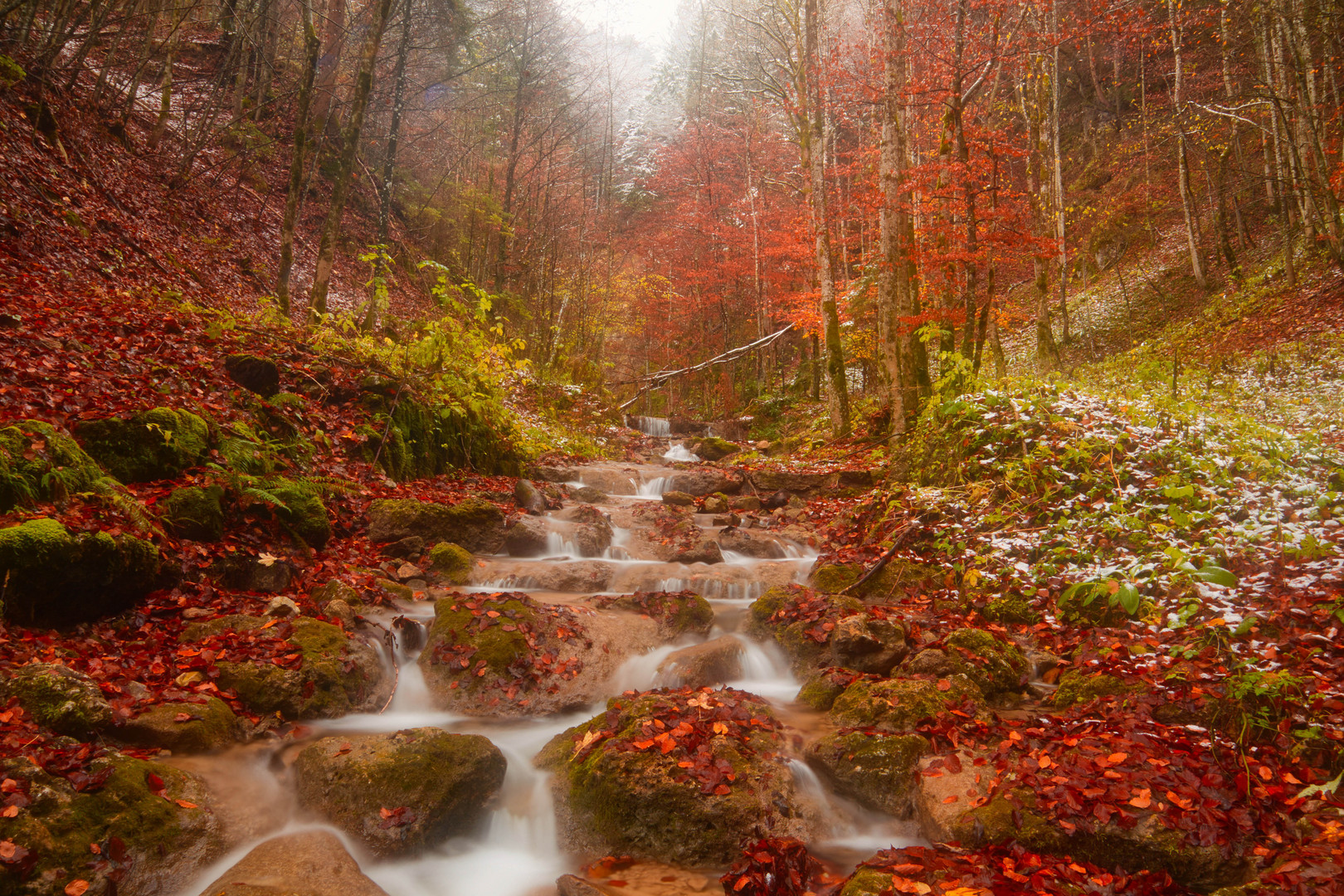 Herbstwald